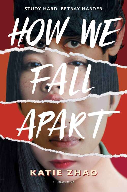 Book cover of How We Fall Apart