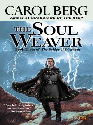 Book cover of The Soul Weaver