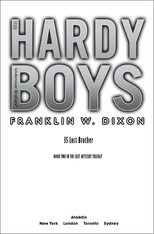Book cover of Lost Brother