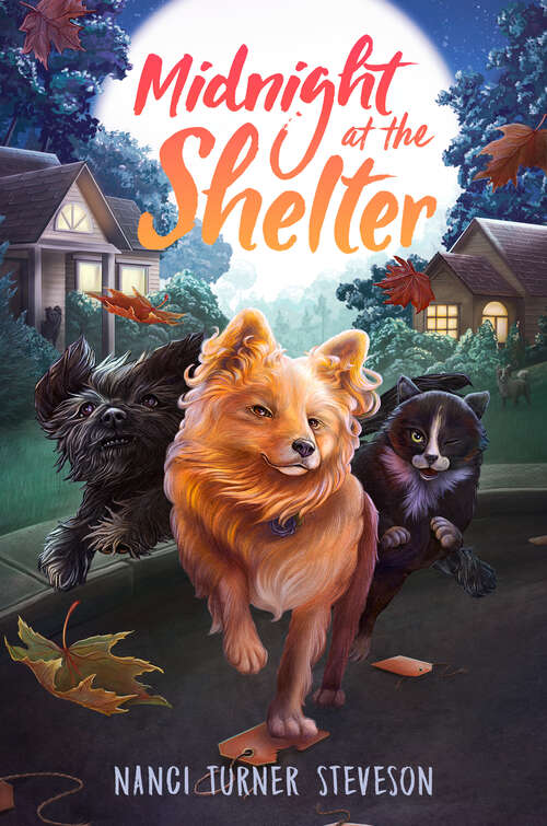 Book cover of Midnight at the Shelter