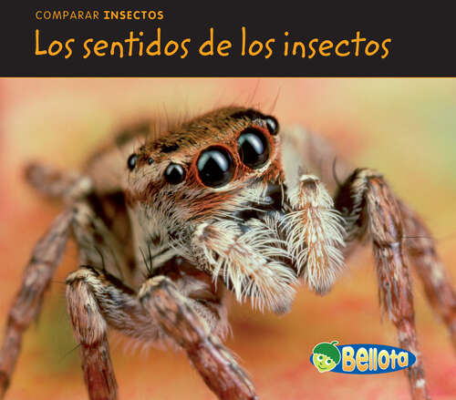 Book cover of Los sentidos de los insectos (Comparar Insectos Ser.)