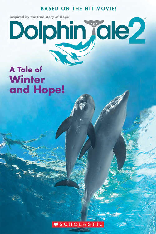 Book cover of Dolphin Tale 2: Movie Reader (Dolphin Tale 2 Ser.)