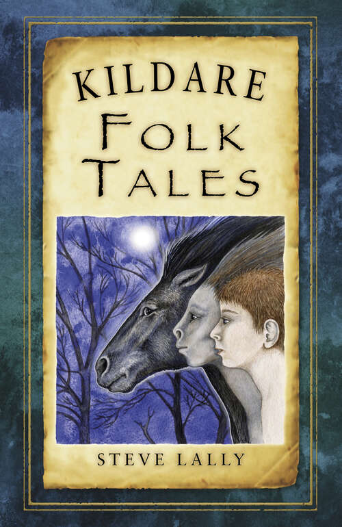 Book cover of Kildare Folk Tales