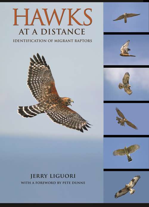 Book cover of Hawks at a Distance: Identification of Migrant Raptors