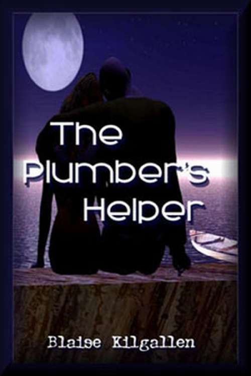 Book cover of The Plumber's Helper