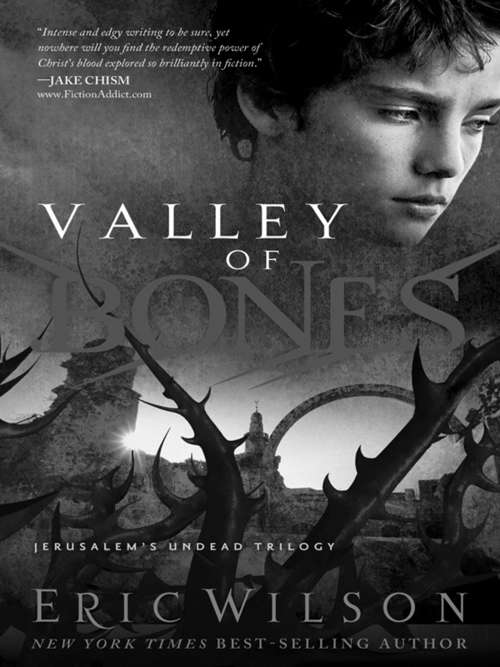 Book cover of Valley of Bones