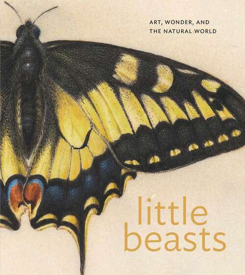 Book cover of Little Beasts: Art, Wonder, and the Natural World