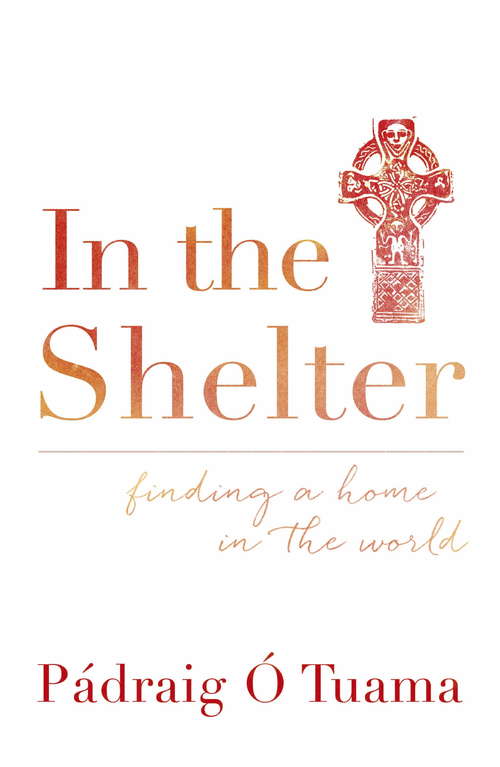 Book cover of In the Shelter