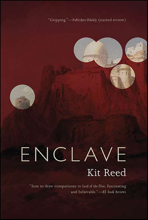 Book cover of Enclave