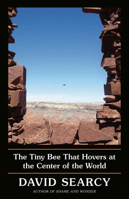 Book cover of The Tiny Bee That Hovers at the Center of the World