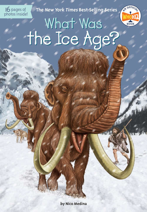 What Was the Ice Age? (What Was?)