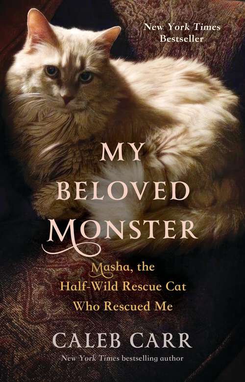 Book cover of My Beloved Monster: Masha, the Half-Wild Rescue Cat Who Rescued Me