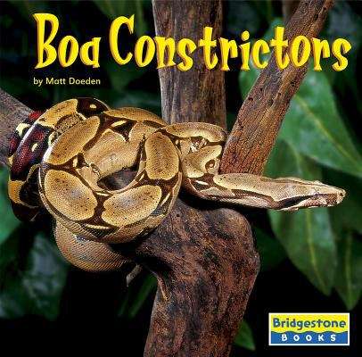 Book cover of Boa Constrictors