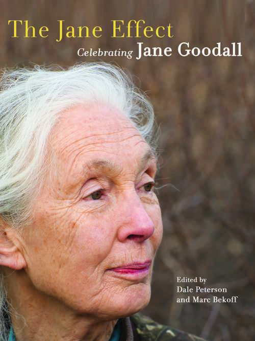 Book cover of The Jane Effect