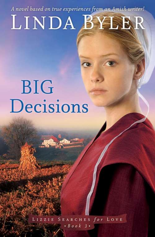 Big Decisions: A Novel Based On True Experiences From An Amish Writer!