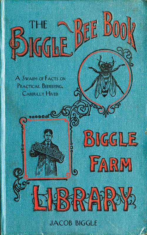 Book cover of The Biggle Bee Book