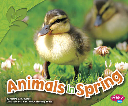 Book cover of Animals in Spring (All About Spring Ser.)
