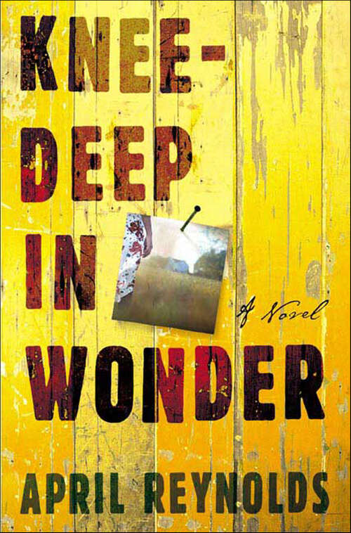 Book cover of Knee-Deep in Wonder: A Novel