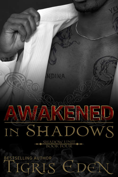 Book cover of Awakened In Shadows