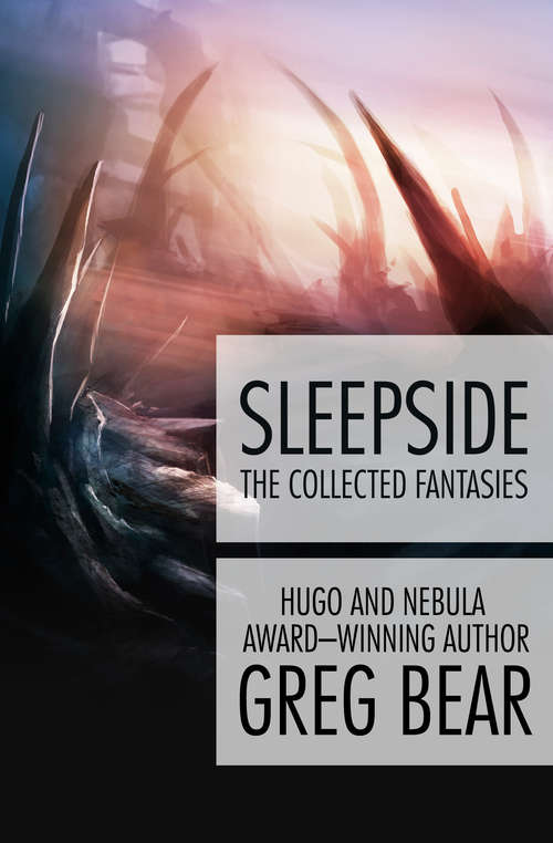 Book cover of Sleepside