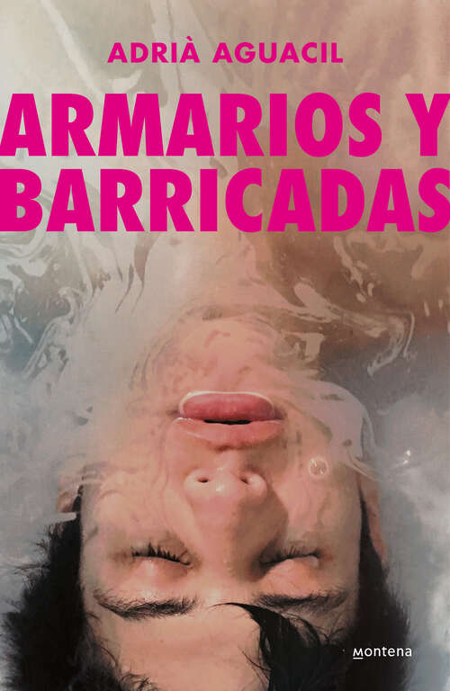 Book cover of Armarios y barricadas
