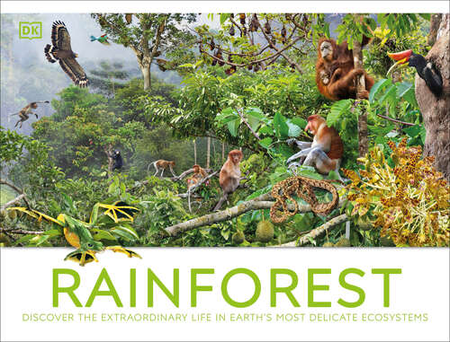 Book cover of Rainforest