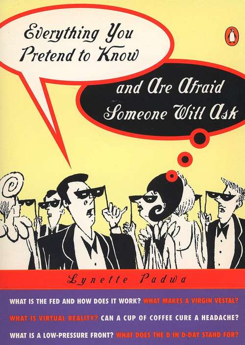Book cover of Everything You Pretend to Know and Are Afraid Someone Will Ask