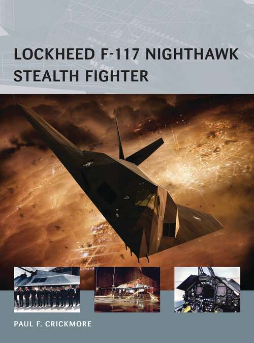 Book cover of Lockheed F-117 Nighthawk Stealth Fighter
