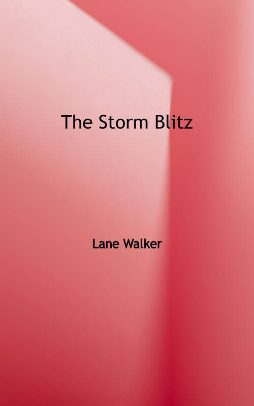 Book cover of The Storm Blitz