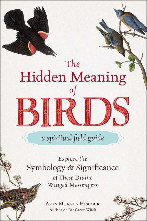 Book cover of The Hidden Meaning of Birds--A Spiritual Field Guide: Explore the Symbology and Significance of These Divine Winged Messengers
