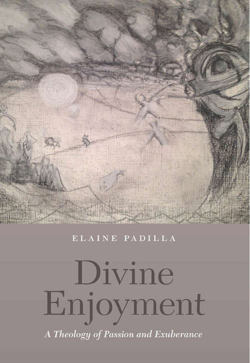 Book cover of Divine Enjoyment: A Theology of Passion and Exuberance