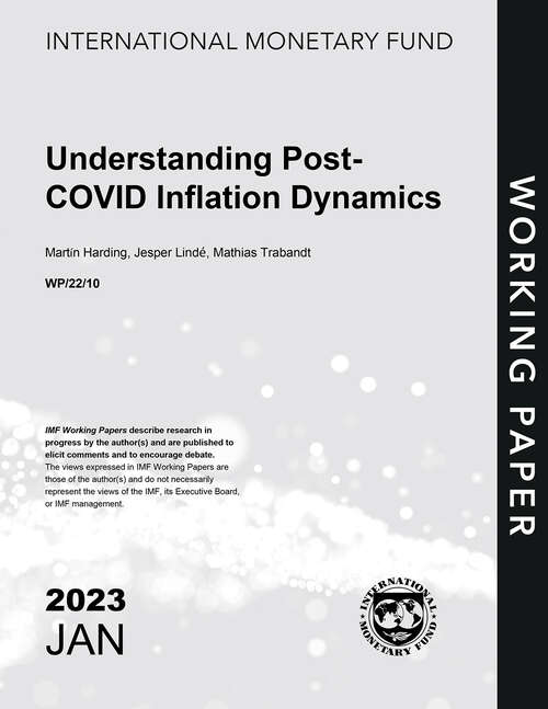 Book cover of Understanding Post-COVID Inflation Dynamics