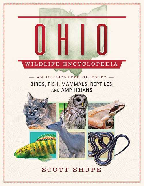 Book cover of The Ohio Wildlife Encyclopedia: An Illustrated Guide to Birds, Fish, Mammals, Reptiles, and Amphibians