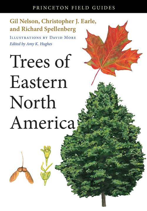 Trees Of Eastern North America (Princeton Field Guides #91)