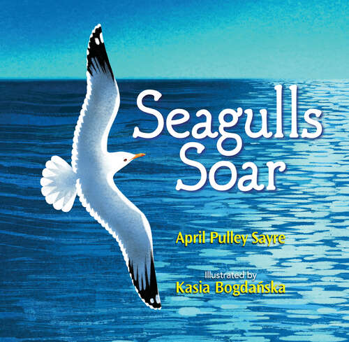 Book cover of Seagulls Soar