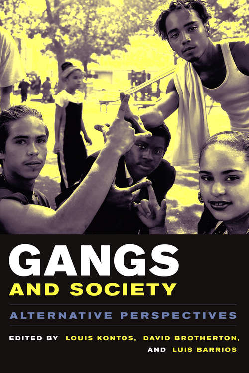 Gangs and Society: Alternative Perspectives