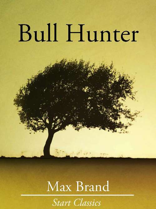 Book cover of Bull Hunter
