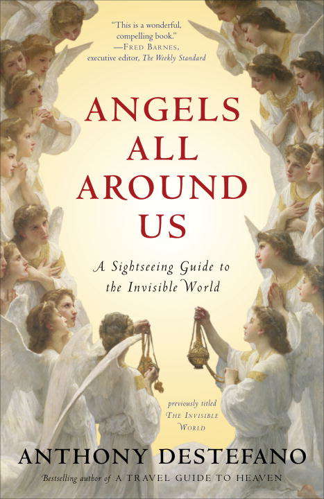 Book cover of Angels All Around Us