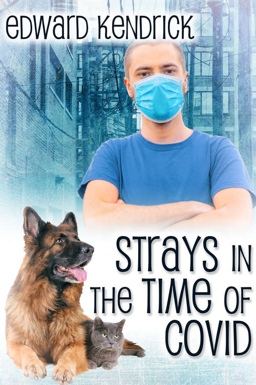 Book cover of Strays in the Time of COVID