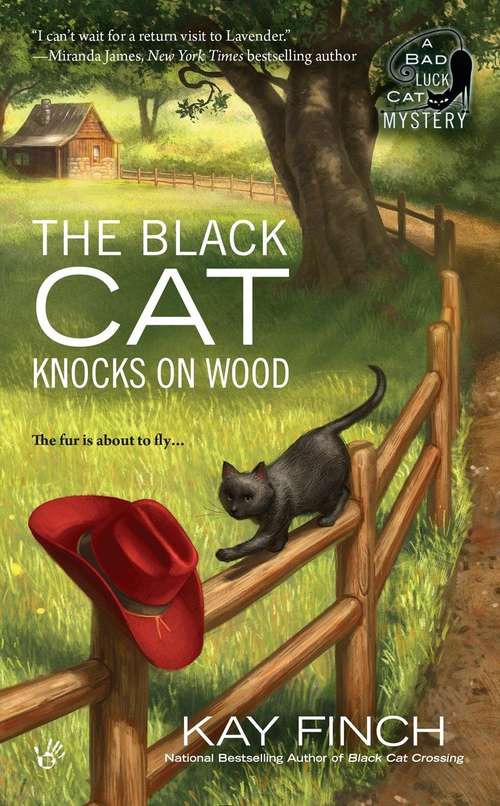 Book cover of The Black Cat Knocks on Wood