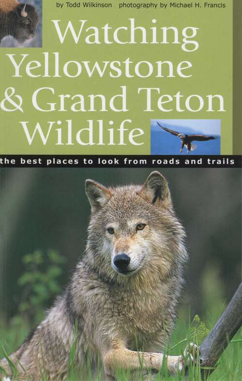 Book cover of Watching Yellowstone and Grand Teton Wildlife: The Best Places to Look from Roads and Trails