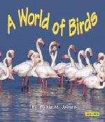 Book cover of A World of Birds