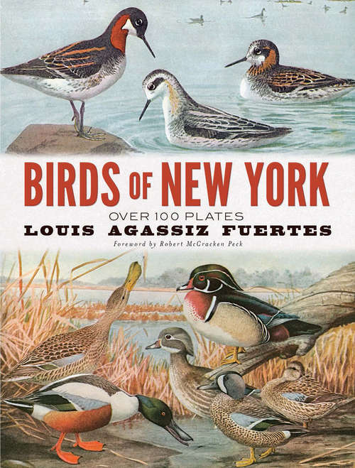 Book cover of Birds of New York: Over 100 Plates