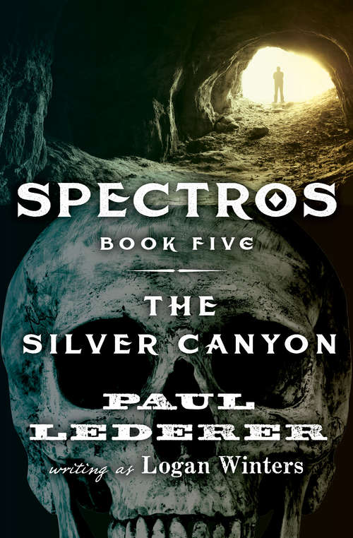 Book cover of The Silver Canyon