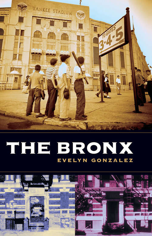 Book cover of The Bronx