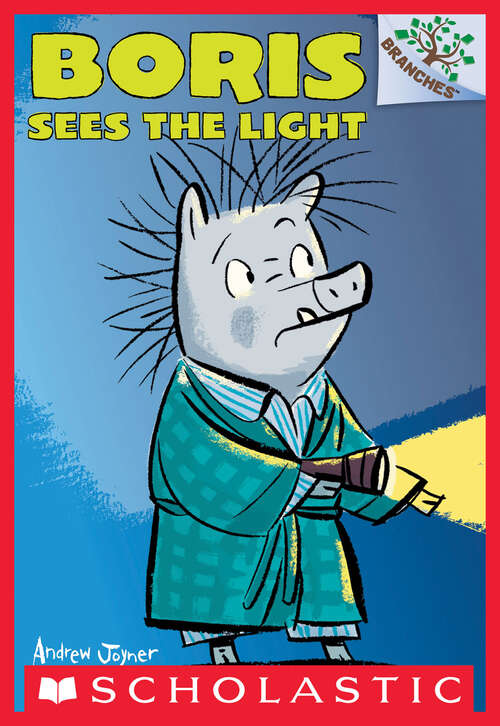 Book cover of Boris Sees the Light: A Branches Book (Boris #4)