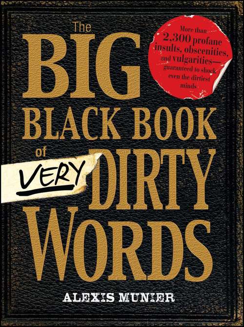 Book cover of The Big Black Book of Very Dirty Words
