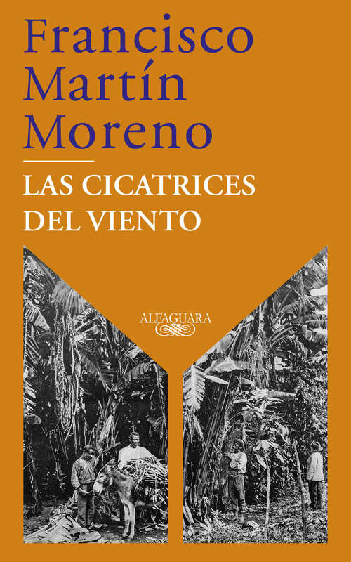 Book cover of Las cicatrices del viento