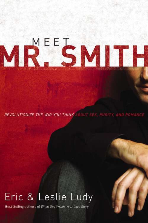 Book cover of Meet Mr. Smith: Revolutionize the Way You Think About Sex, Purity, and Romance