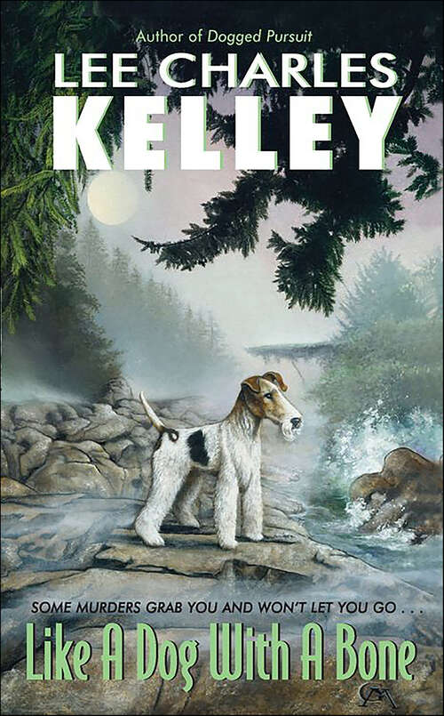 Book cover of Like a Dog With a Bone (Jack and Jamie #6)